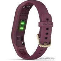 Фитнес-браслет Garmin Vivosmart 4 S/M (бордовый)