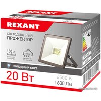 Уличный прожектор Rexant 605-002