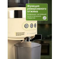 Соковыжималка Oulemei OLM-YZA006 (бежевый)