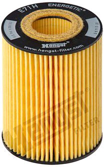 Масляный фильтр Hengst E71HD141