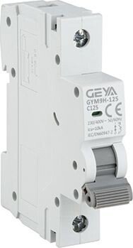 

Выключатель автоматический GEYA GYM9H-125-1P-125C 1P 125A C 10kA 1M GYM9H1251P125C