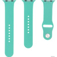 Набор ремешков Evolution AW44-S01 для Apple Watch 42/44 мм (new mint)
