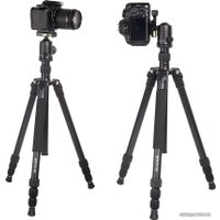 Трипод Raylab Pro 75 (с головой)