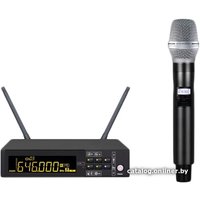 Радиосистема Biema DG-100