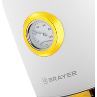 Электрический чайник Brayer BR1018