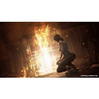 Tomb Raider: Definitive Edition для PlayStation 4