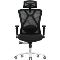 Офисное кресло Evolution Exo F1 Mesh Black (черный)