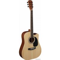 Акустическая гитара Terris TD-045 NA Starter Pack