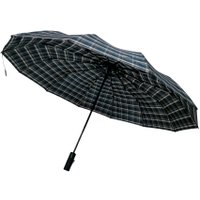Складной зонт RS RS12СН-2