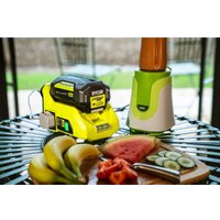 Преобразователь напряжения Ryobi RY36BI300A-0 5133004893 (36В)