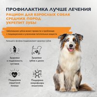 Сухой корм для собак Brit Care Dog Adult M Monoprotein Dental Health 3 кг