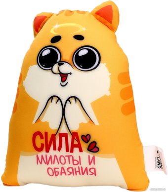 Игрушка-подушка Mni Mnu Котэ Сила милоты и обаяния 9280998