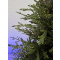 Ель GreenTerra Норвегия (2.5м)