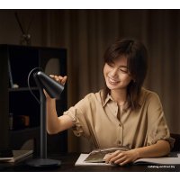 Настольная лампа Xiaomi Mijia Pipi Lamp MJPPD01ZM dark gray