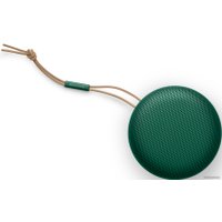 Беспроводная колонка Bang & Olufsen Beosound A1 2nd Gen (зеленый)