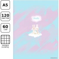 Общая тетрадь BG Fluffy ТТ5к160_лм11364 (160 л) в Мозыре