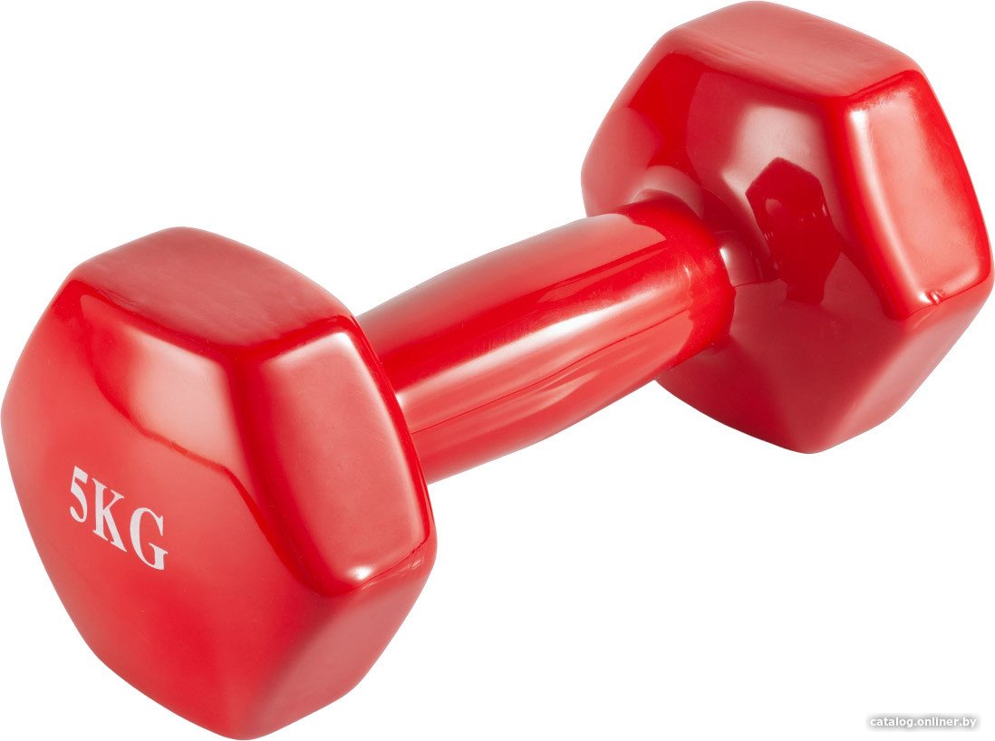 Гантель VictoryFit VF-DV050 5 кг