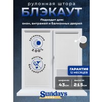 Рулонные шторы Sundays Home LM 167-01 43х215 (белый)
