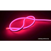 Гибкий неон ЭРА N2835-120-IP67-220V-20m-R