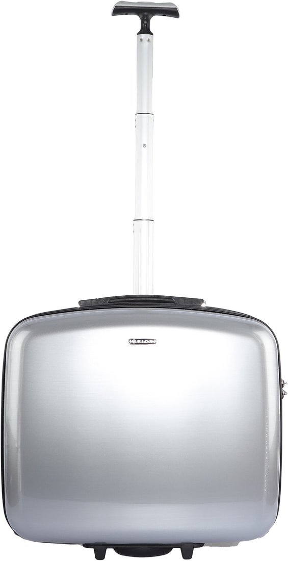 

Чемодан Rion+ 419 (циркон)