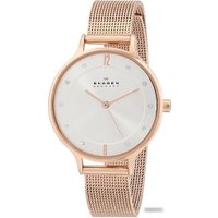 Наручные часы Skagen SKW2151