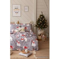 1.5-спальный комплект постельного белья Этель Зимние игры 4482239