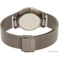 Наручные часы Skagen 233XLTTN