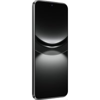 Телефон Huawei nova 12s FOA-LX9 8GB/256GB (черный)