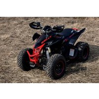 Квадроцикл Motoland Rally 250 (черный/красный)