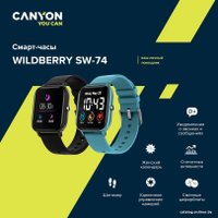 Умные часы Canyon Wildberry SW-74 (черный)