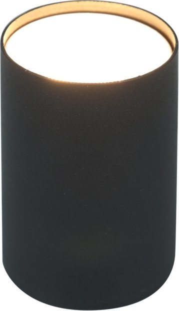 

Спот ЭРА Sculptor OL57 BK Б0066796