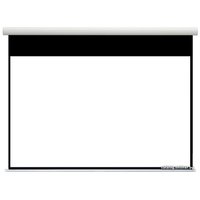 Проекционный экран Future Vision Polaris Cinema BT 242x169 PE240HMW