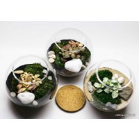 Флорариум Home Garden Маленький Шар