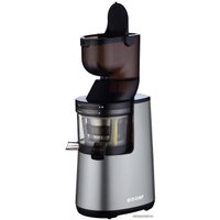 Соковыжималка Biochef Atlas Whole Slow Juicer BCWA (серебристый)