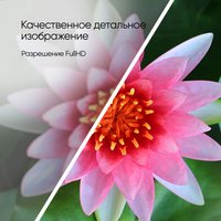 Телевизор Topdevice 40" Frameless Neo CS04 (черный)