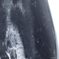 Настольная лампа Arte Lamp Rukbat A5046LT-1BK в Орше