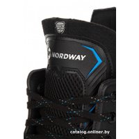 Коньки Nordway ERRETEOFYR A21ENDIH005-99 (р. 40, черный) в Пинске