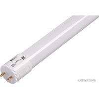 Светодиодная лампочка JAZZway PLED T8 G13 10 Вт 4000 К [PLED T8-600GL 10w FR]