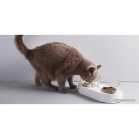 Миски на подставке Petkit 15 Degree Adjustable Double Bowl (белый)