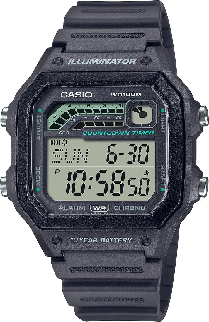 

Наручные часы Casio Standard WS-1600H-8A