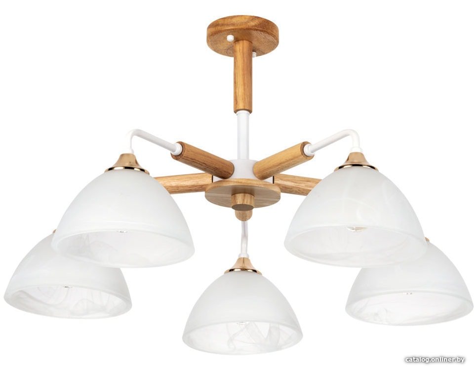 Люстра средней высоты Arte Lamp Matthew A5032PL-5BR