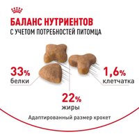 Сухой корм для кошек Royal Canin Sensible 33 1.2 кг