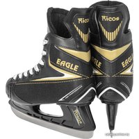 Коньки Ricos Eagle PW-206AJ (р.38, черный)