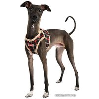 Шлея Puppia Baxter PLSA-HB1602-BK-XL (черный)