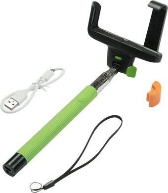 Палка для селфи Ritmix RMH-220BTH Selfie Green