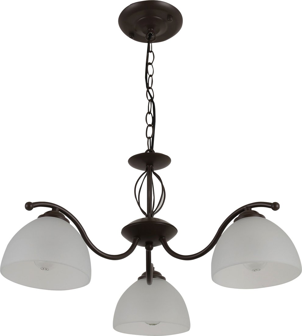 

Подвесная люстра Rivoli Jackeline 9141-303 Б0054755
