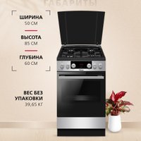 Кухонная плита Hansa FCMX59323
