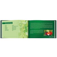  Весь. ЧистоПитание. Книга о чистой, простой и сильной пище (подарочное издание) (Вадим Зеланд)