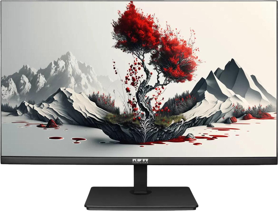 Монитор RDW Computers 2401K/F00В0100V2A1H