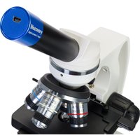 Микроскоп Levenhuk Discovery Atto Polar с книгой 77992
